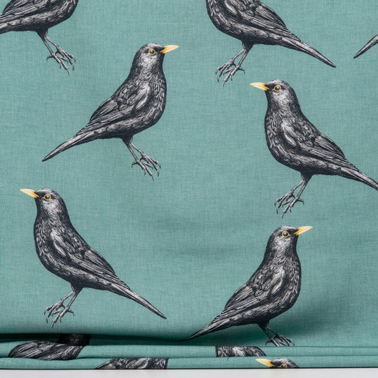 Mustarastas viskoosi, teal