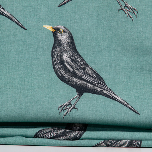 Mustarastas viskoosi, teal