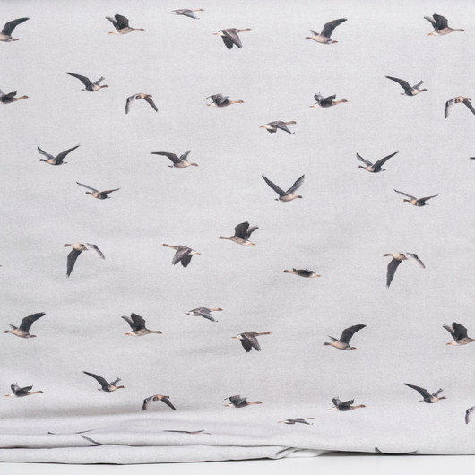 Muutto harjattu joustocollege, harmaa