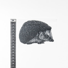 Siili, silityskuva 12x8cm