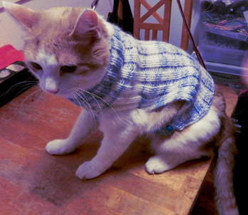 Kudottu lemmikin suojavaate