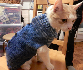 Kudottu lemmikin suojavaate