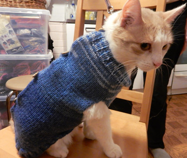 Kudottu lemmikin suojavaate