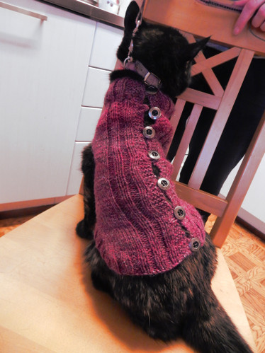 Kudottu lemmikin suojavaate