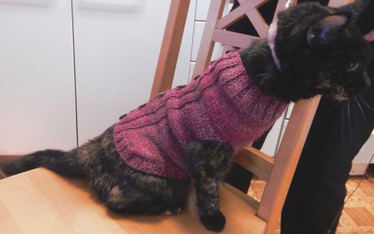 Kudottu lemmikin suojavaate