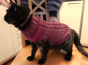 Kudottu lemmikin suojavaate