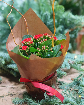 Flower gift for Senior