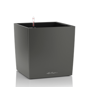 Cube Premium all-in altakasteluruukku 30cm