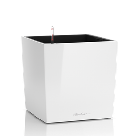 Cube Premium all-in altakasteluruukku 40cm