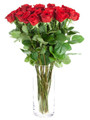 Bouquet of long roses