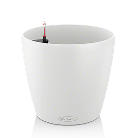 Classico Color 18cm altakasteluruukku