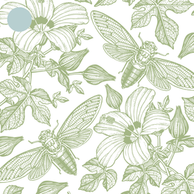 Kortti pakettikortti, erilaisia