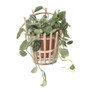 Wall pot rattan