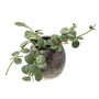 Wall pot brown