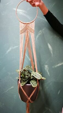 Amppeli, altakasteleva kombo