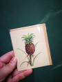Card Branch