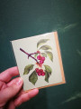 Card Branch