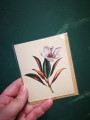 Card Branch