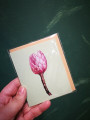 Card Branch