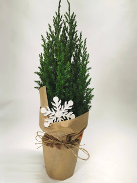 Christmas tree with decorations