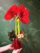 Jouluasetelma punainen Amaryllis