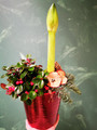 Jouluasetelma punainen Amaryllis