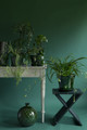 Bergs Potter Copenhagen green