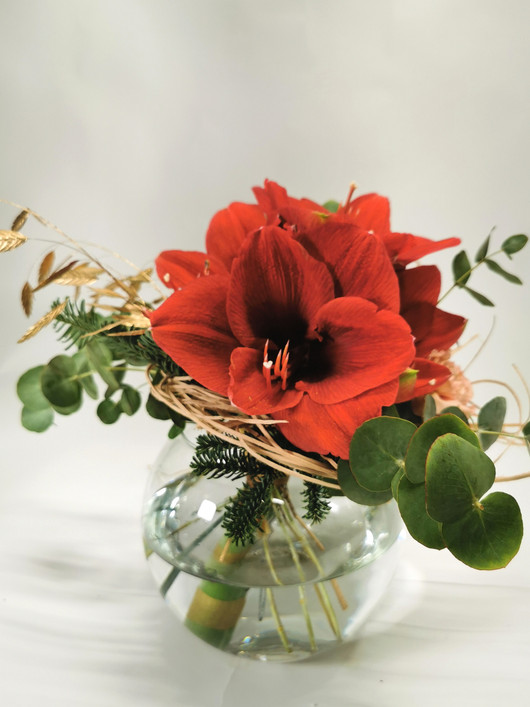 Joulukimppu Pieni Amaryllis