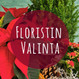 Joulukori Floristin valinta