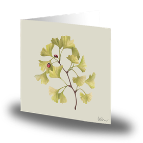 Kortti iso Ginko 15x15cm