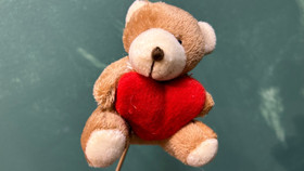 Soft teddy for bouquet