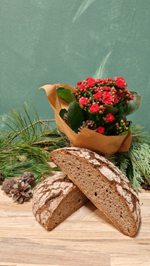 Christmas rye bread and kalanchoe 18.12.