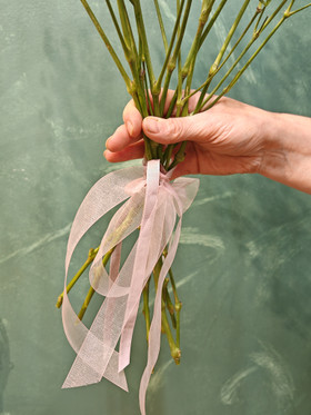 Bunch of Babes Breath