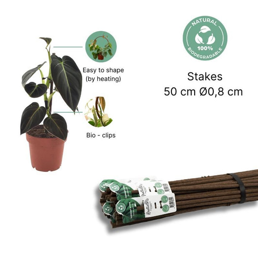 Tukikepit Kratiste 5kpl 50cm