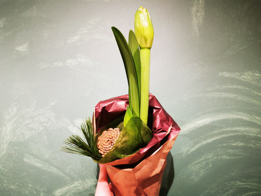 Joulukukka Vanhukselle