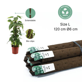 Support post Kratiste 120cm