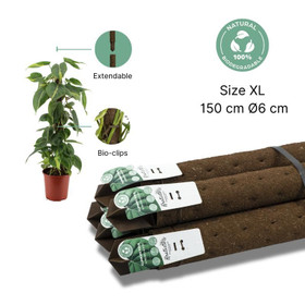 Tukipylväs Kratiste 150cm