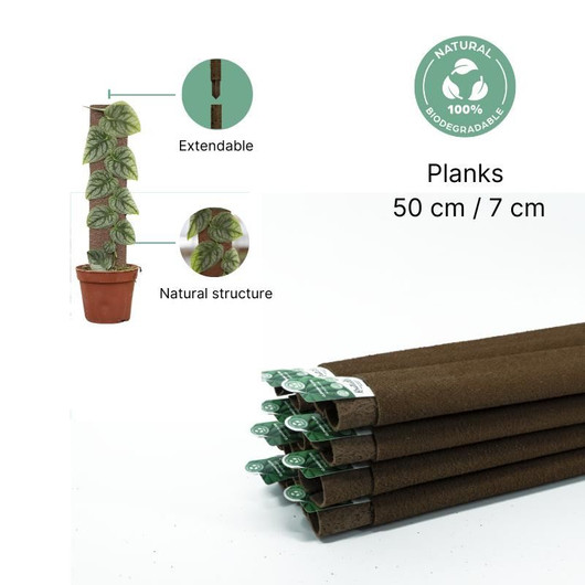Tukilankku Kratiste 50cm