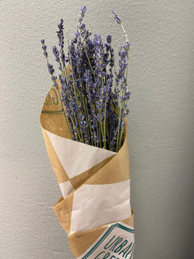 Bunch Dried Lavender