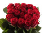 Punaiset Premium ruusut