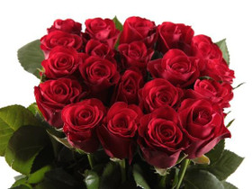 Punaiset Premium ruusut