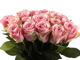 Unforgettable Special Day Flowers