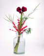 Bouquet Christmas High Amaryllis