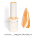 Gel Polish Cat Eye - VENALISA - 5011