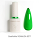 Gel Polish - VENALISA - 5077