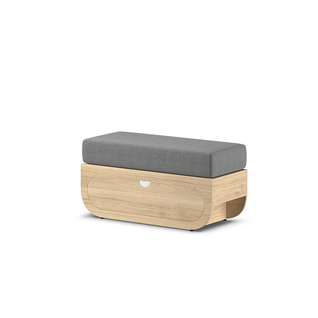 Ikon - Penkki S, tammi