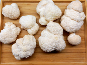 Fresh Lion's Mane Mushroom