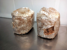 Käytetty kasvualustasäkki ulkokasvatukseen (itiötön osterivinokas)