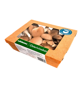 Fresh Oyster Mushroom