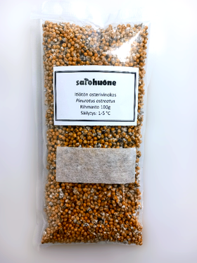 Osterivinokkaan rihmasto